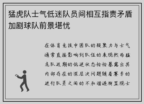 猛虎队士气低迷队员间相互指责矛盾加剧球队前景堪忧